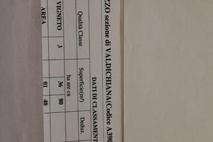 Terreno con diritti di impianto