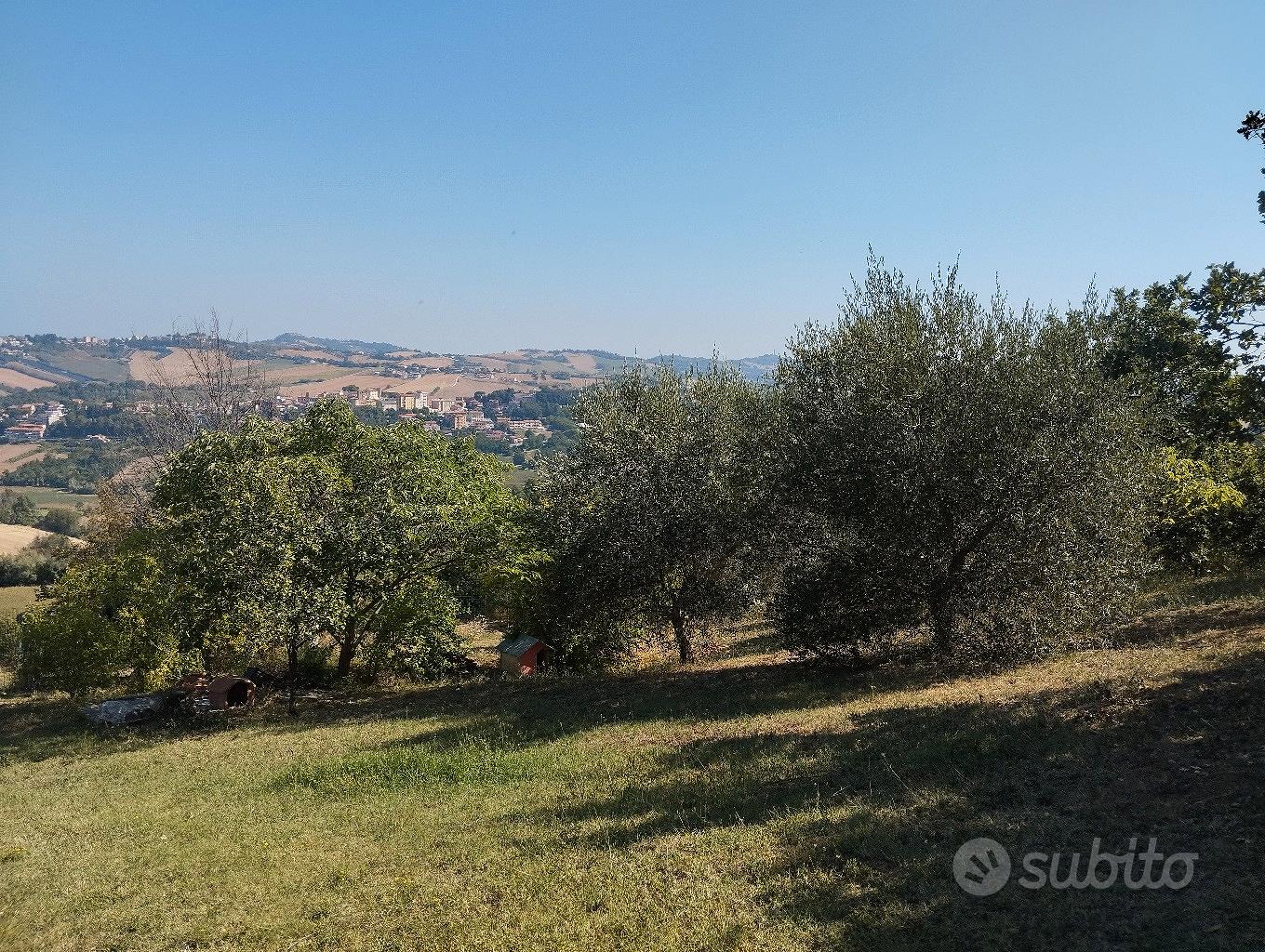 Terreno agricolo panoramico - Vista 2