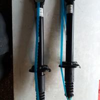 Ammortizzatori ford fiesta