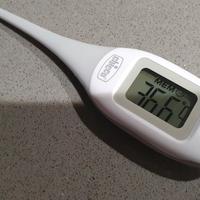 Termometro chicco Flex Night Plus