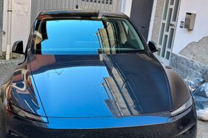 Tesla model y  standard