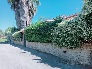 Meravigliosa Villa con piscina_Pignataro Maggiore