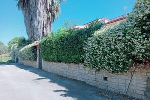 Meravigliosa Villa con piscina_Pignataro Maggiore