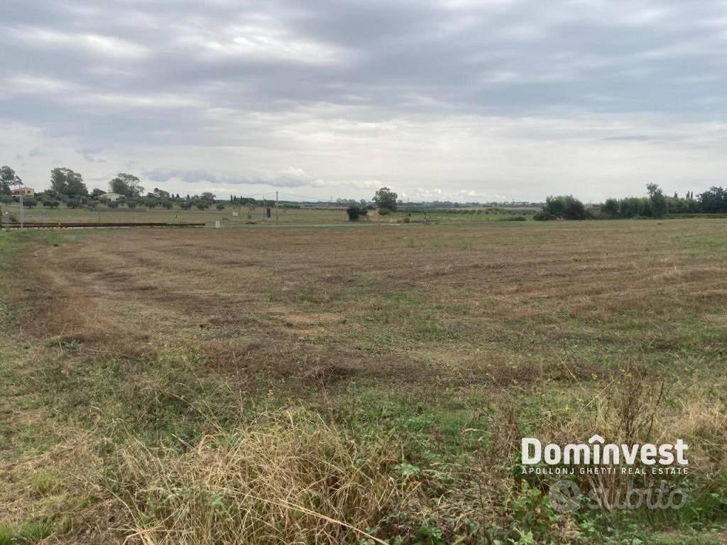 Terreno di 46000 m² a Capalbio - Vista 4