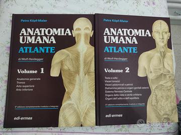 Atlante di Anatomia Umana