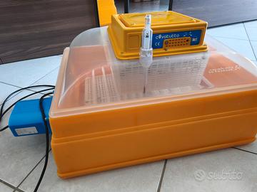 Incubatrice Covatutto 54 analogica semiautomatica