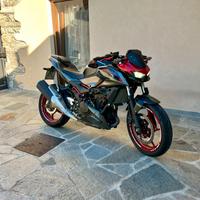 Z 500 se
