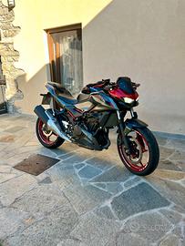 Z 500 se
