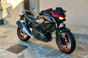 Z 500 se