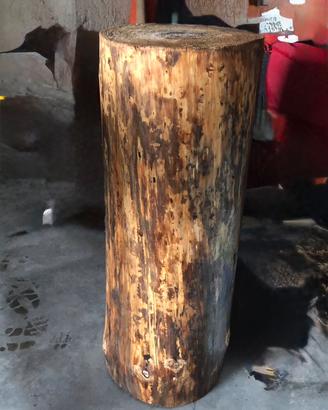 Ceppo tronco legno