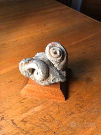 Fossile