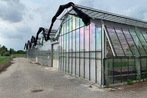 Immobile in asta di 13480 m² con più di 5 locali a
