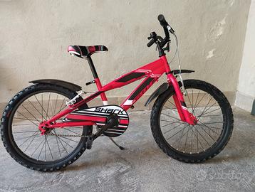 Bicicletta taglia 20