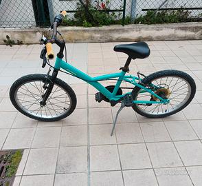 bicicletta 20 pollici
