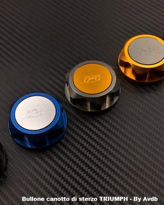 Bullone canotto di sterzo TRIUMPH - By Avdb