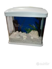 Acquario 