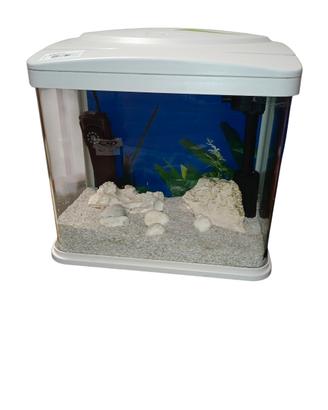 Acquario 