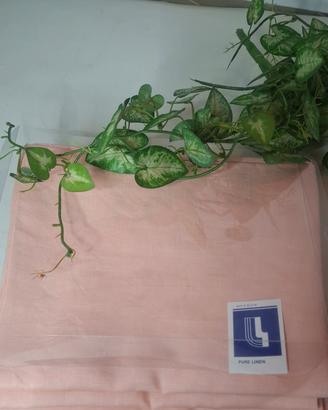 Coppia federe in puro lino rosa 