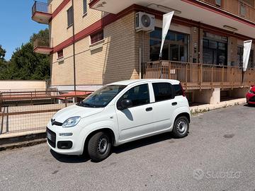 Panda Van