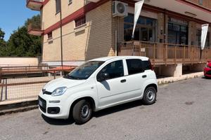Panda Van