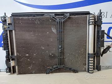 Calandra Completa Peugeot 3008 - 2017 in poi