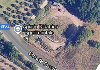 Terreno badia a cerreto gambassi terme