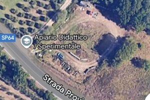 Terreno badia a cerreto gambassi terme