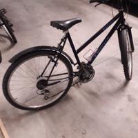 bicicletta da donna 
