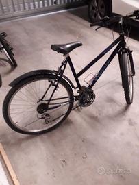 bicicletta da donna 