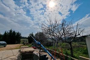 Azienda ginosa- BA002586