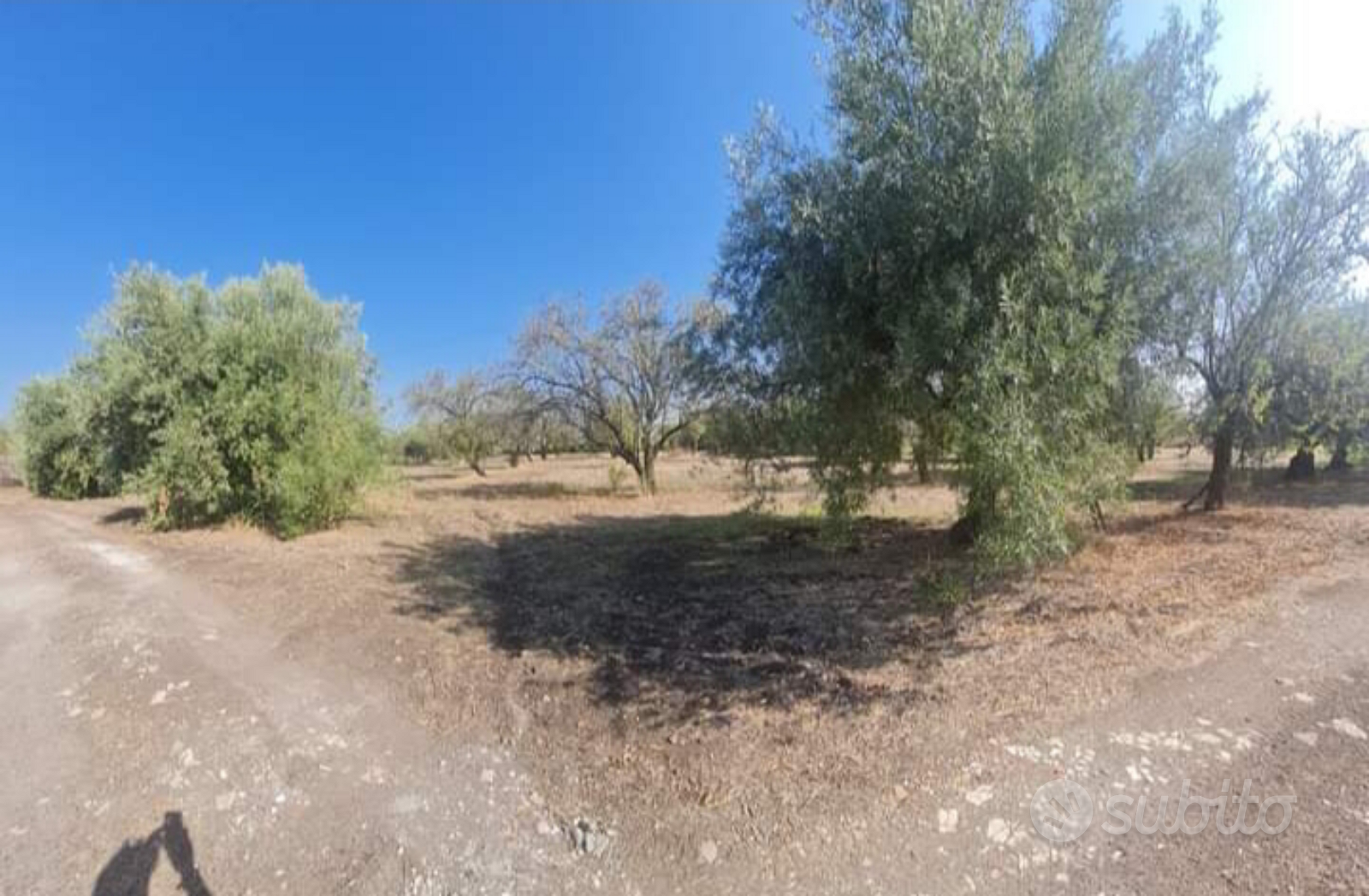 1 Terreno con Casetta - Vista 3