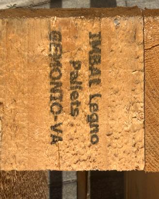 Pallet in legno