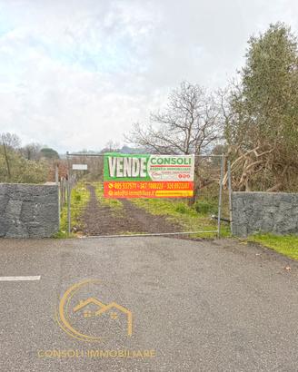 Lotti edificabili già urbanizzati