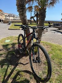 bicicletta Olympia