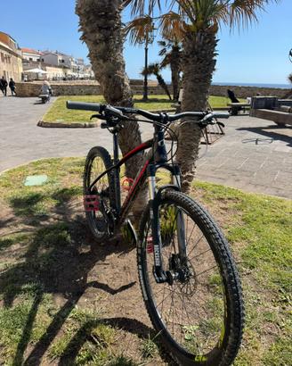 bicicletta Olympia