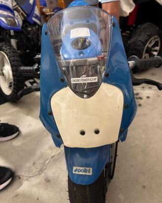 Mini moto polini