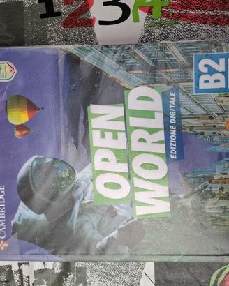 Libro di testo per superiori inglese