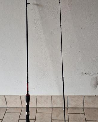 Canna da pesca Spinning 
