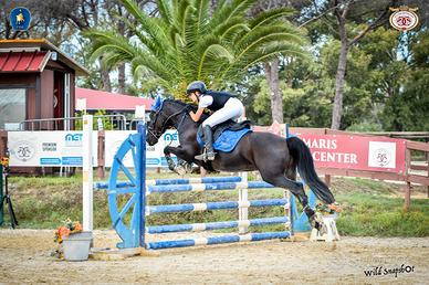 Pony Esperia Anno 2014