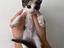 Immagine 4