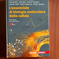 Libro di biologia molecolare per semestre di med