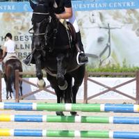Pony sportivo completo e salto