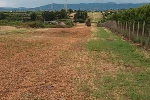 Terreno agricolo