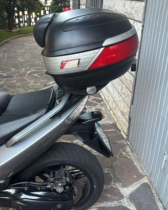 Bauletto per t max