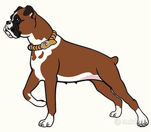 Boxer in attesa di Boxeristi