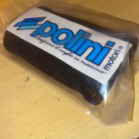 Manopole Polini