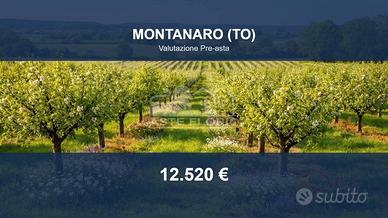 Immobile in asta di 6530 m² a Montanaro