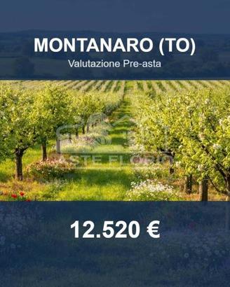 Immobile in asta di 6530 m² a Montanaro