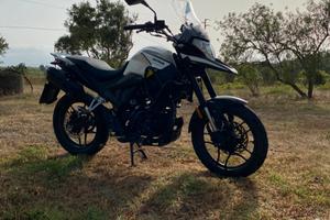 Motron x-nord125 2021