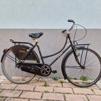 Bicicletta da passeggio 